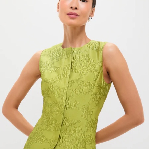 Tuckernuck Brocade Metallic Vest and Skirt Size 0 - Picture 7 of 8